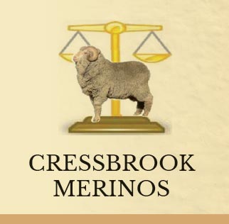 Cressbrook Merino